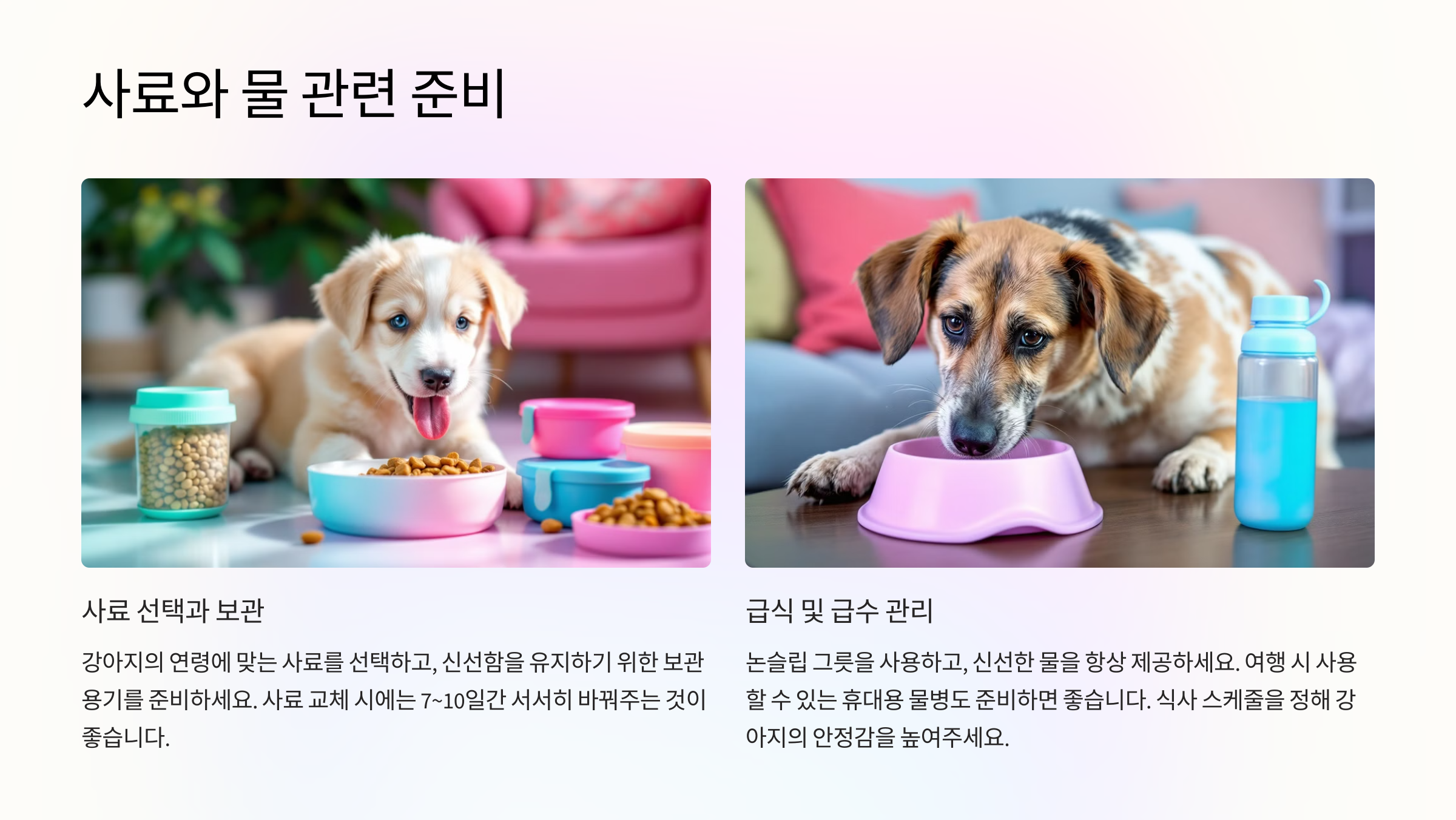 사료와 물 관련 준비