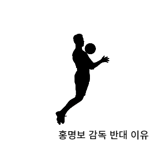 홍명보감독반대이유