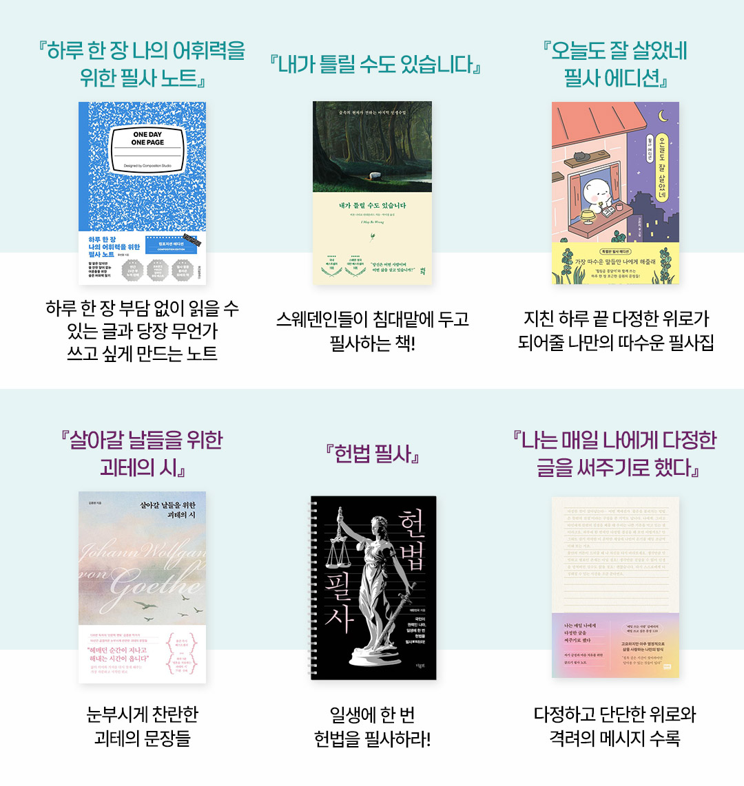 #필사하기 좋은 책 #하루 한 장 나의 어휘력을 위한 필사 노트 #내가 틀릴 수도 있습니다 #오늘도 잘 살았네 필사 에디션 #살아갈 날들을 위한 괴테의 시 #헌법 필사 #나는 매일 나에게 다정한 글을 써주기로 했다