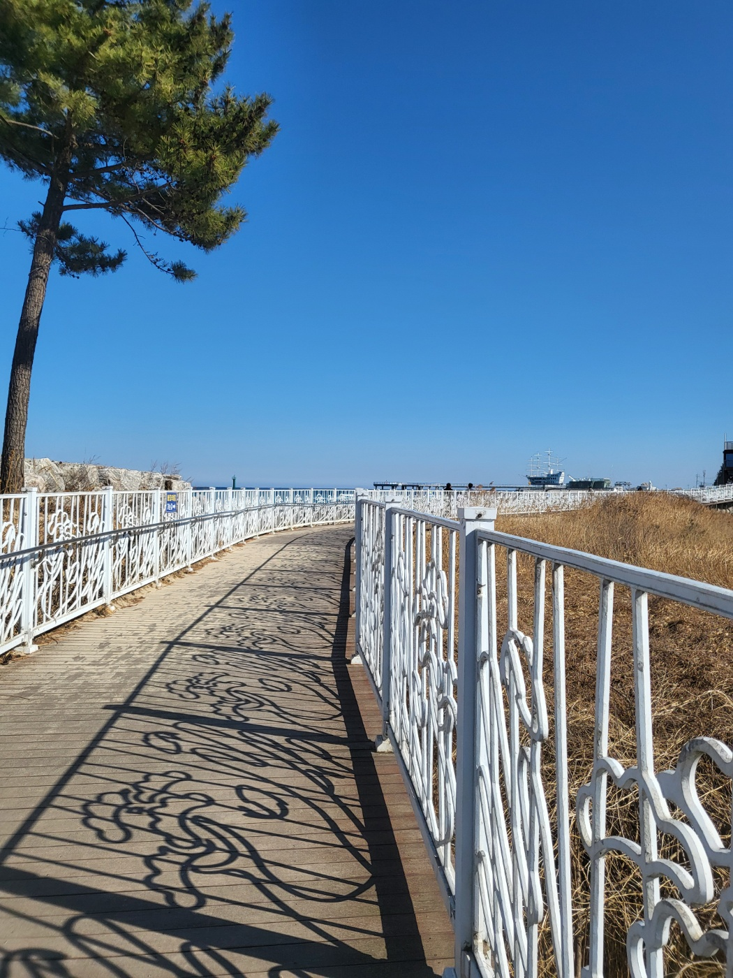 정동진 시간박물관 후기: 기차 속에서 만나는 시간 여행! 입장료·관람 팁 (초등 아이와 내돈내산), 정동진모래시계공원