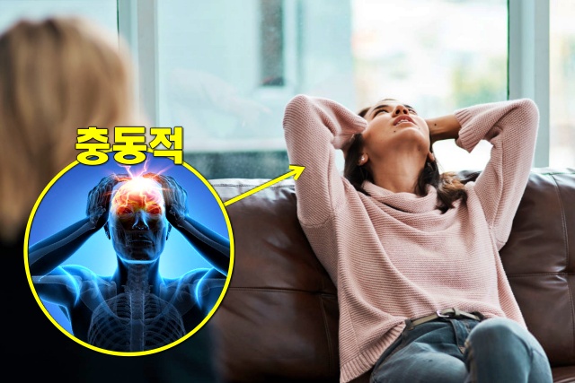 뇌진탕 초기증상 기억상실, 뇌진탕 증상, 건강 팁줌 매일꿀정보