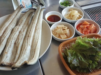 갯벌장어