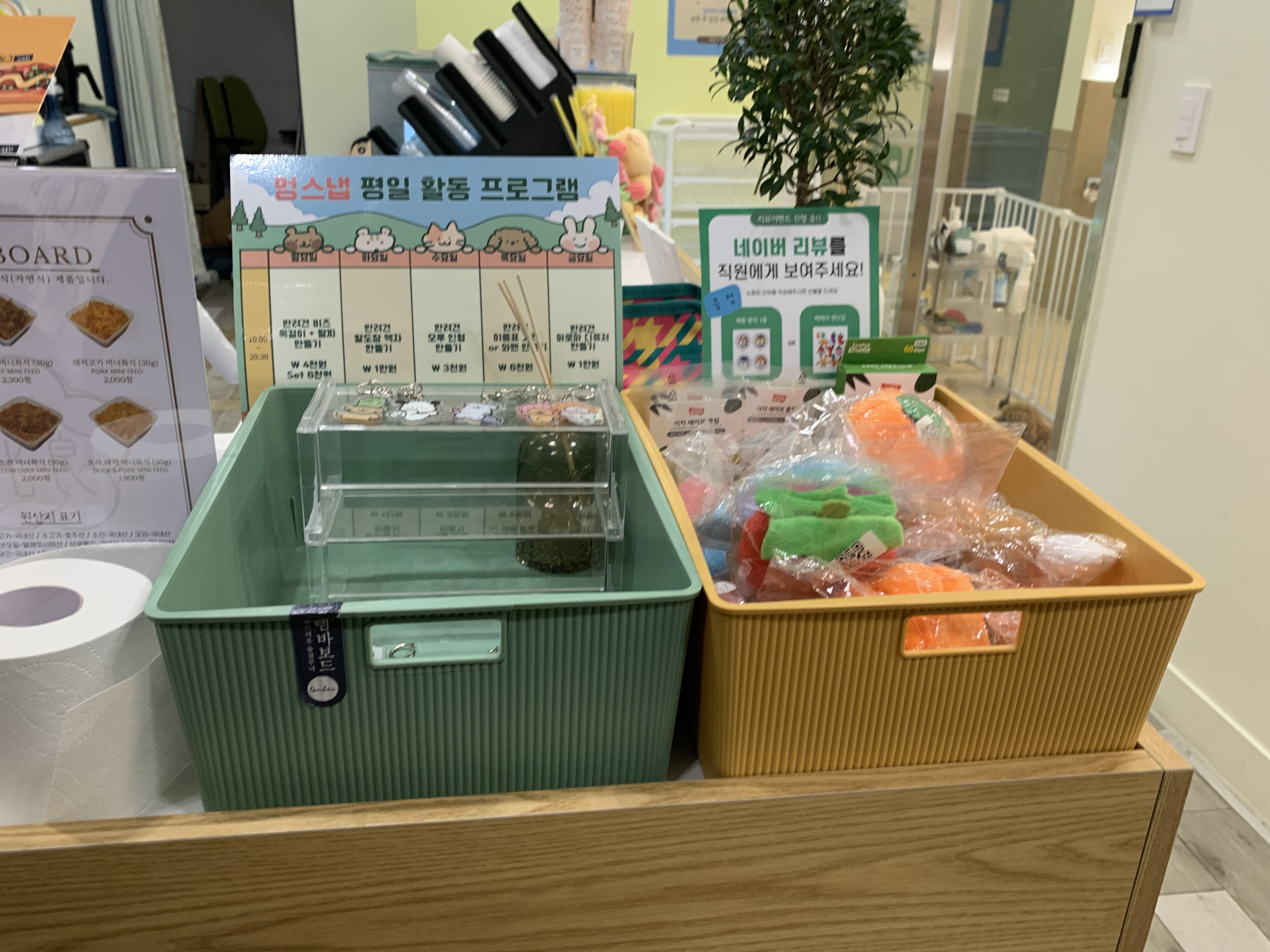 부천 부천시청 애견카페 애견유치원 애견호텔 멍스냅