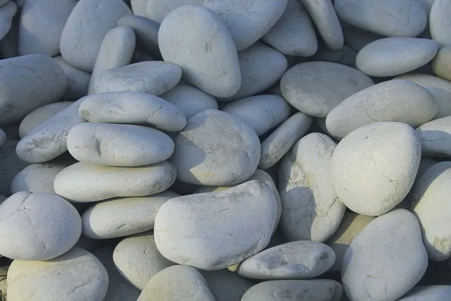 쿠팡 육개장 품절 대란 원인과 대체 상품_3