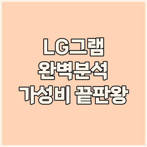 LG 그램 완벽 분석 가성비 노트북 ..