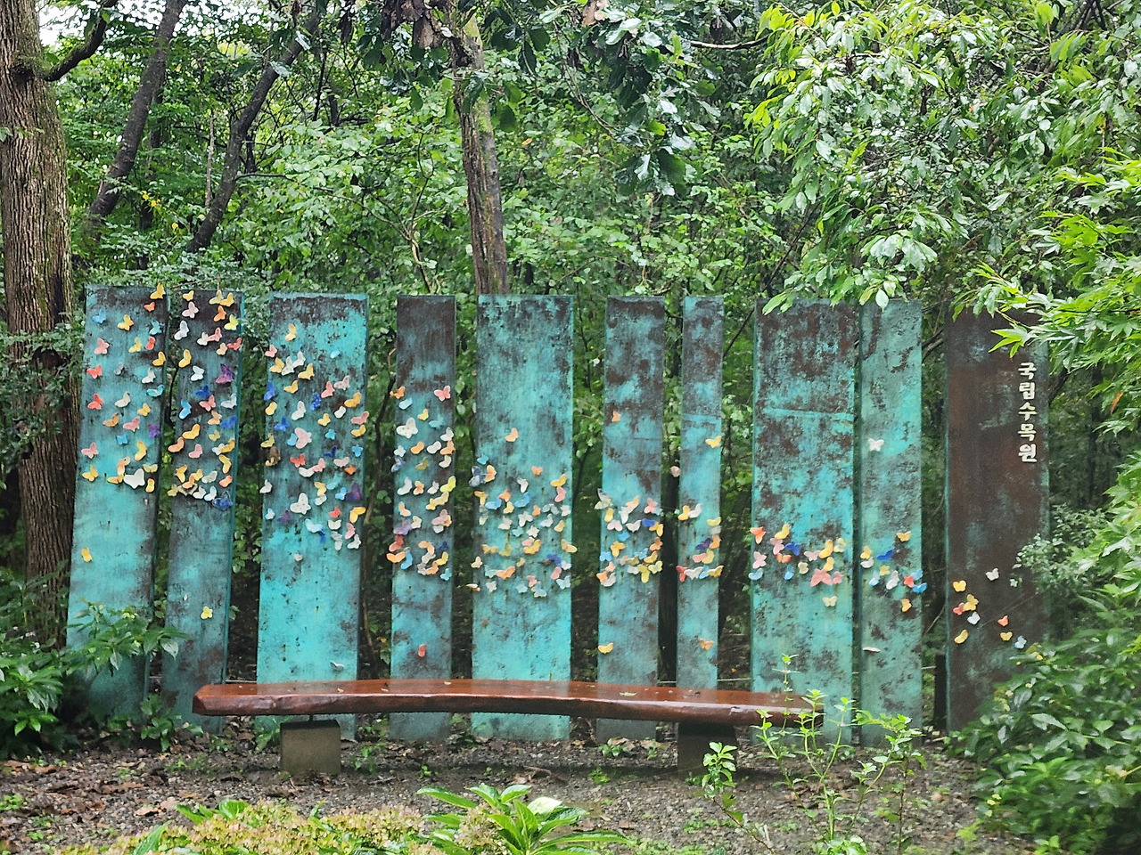 포천 가볼만한곳 베스트10 - 광릉수목원