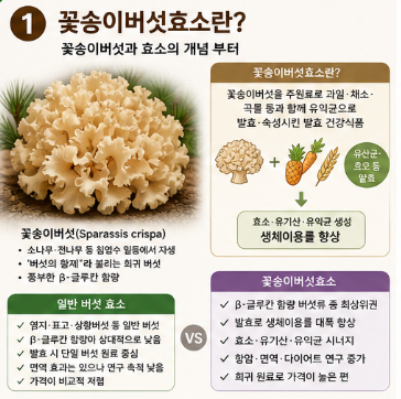 꽃송이버섯효소-효능-다이어트-효과-부작용-먹는법-임산부