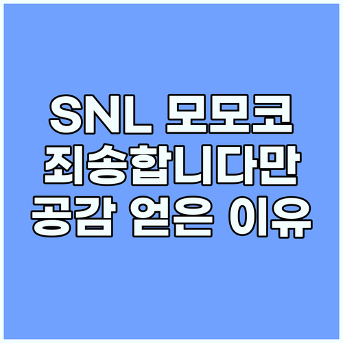 SNL 모모코 주현영: '죄송합니다만..