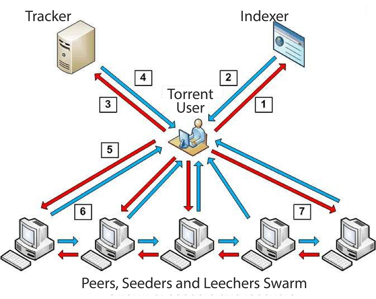 torrent 토폴로지