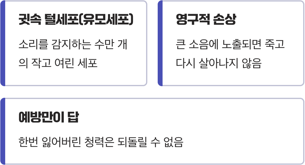소리 없는 감각 도둑, '소음성 난청'