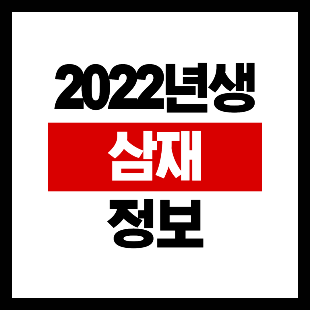 2022년생 삼재