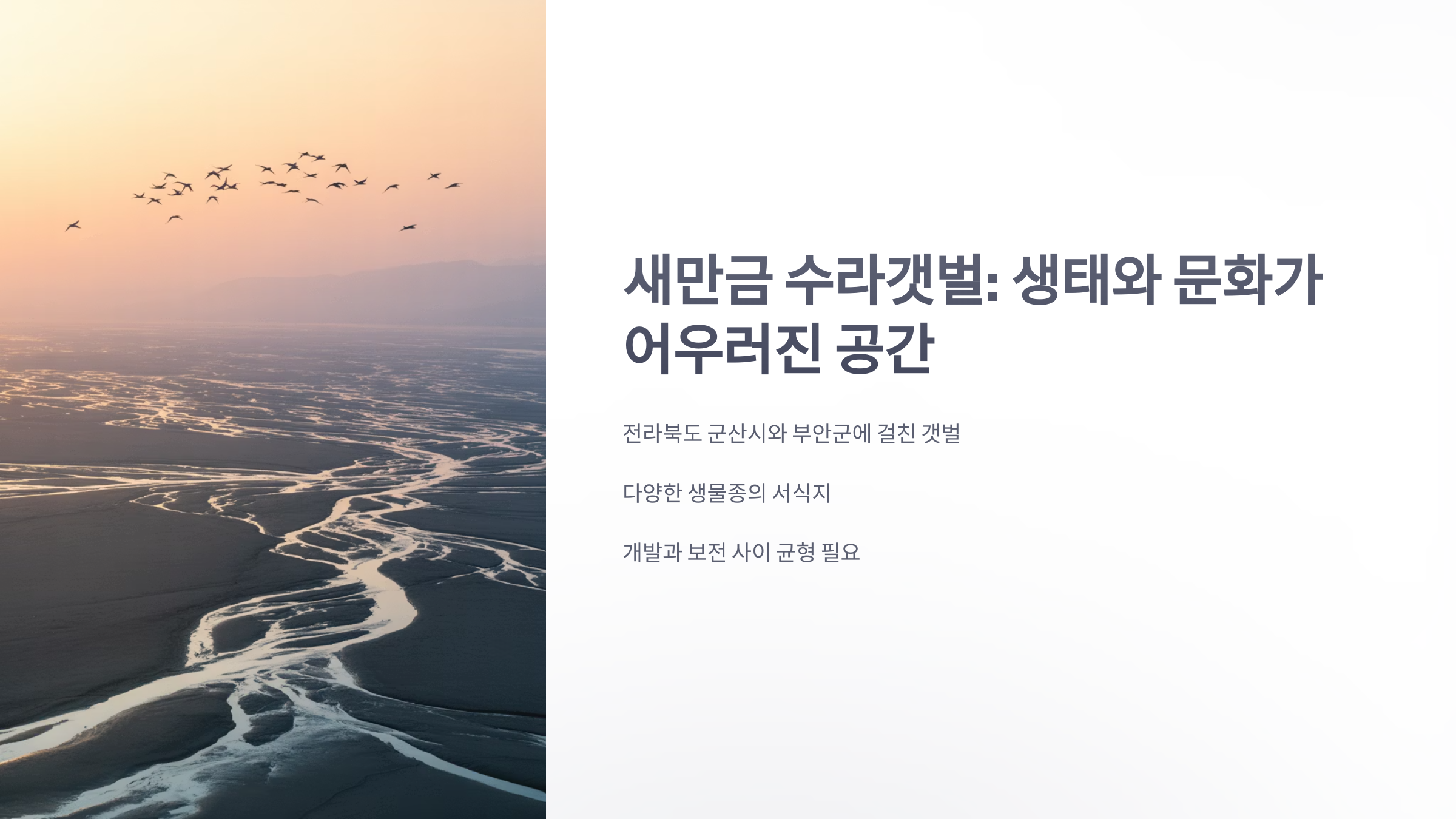 참조-새만금-수라갯벌-1