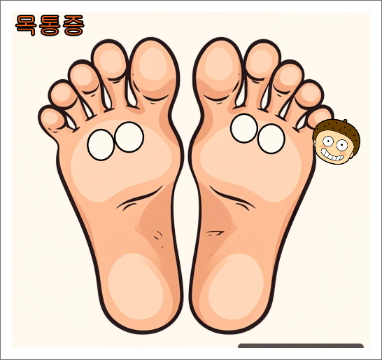 발바닥 파스 붙이는 위치_목통증