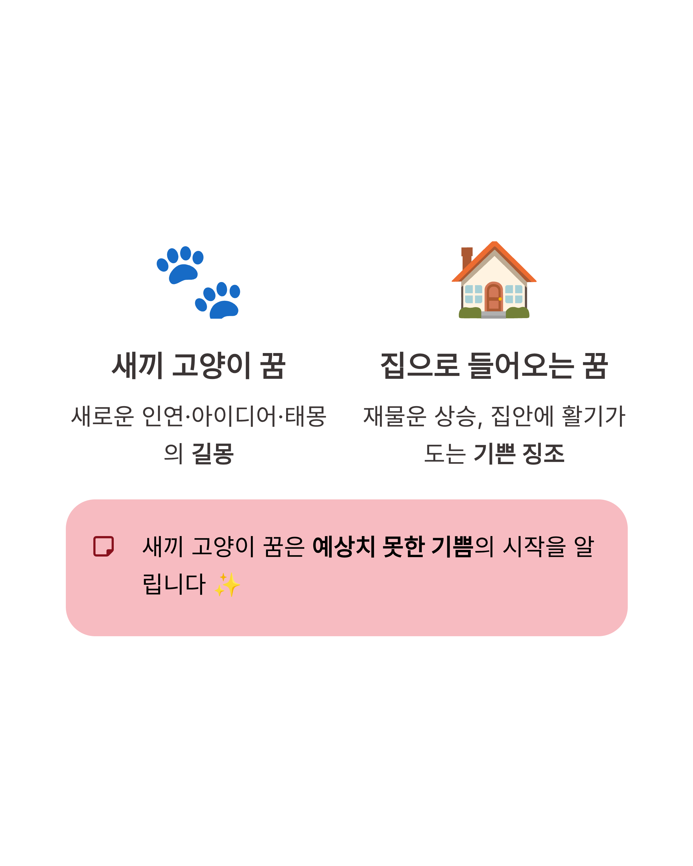 고양이 꿈 해몽 ❘ 할퀴는 검은 고양이 새끼 고양이까지? 행운과 경고의 미묘한 차이 완벽 가이드