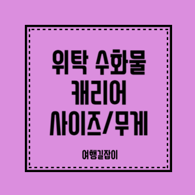 위탁 수화물 캐리어 사이즈, 무게