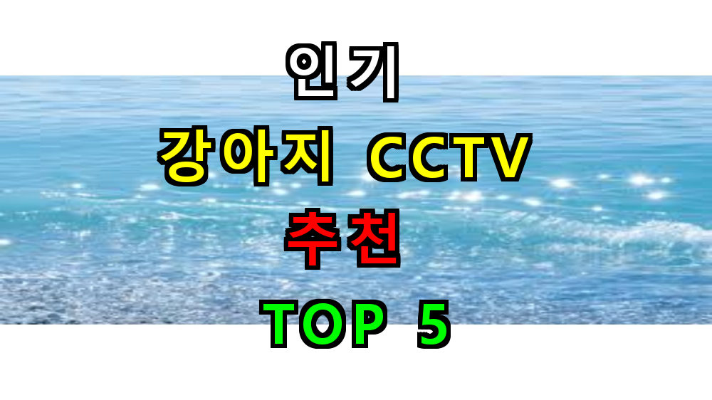 펫캠 강아지 CCTV 추천 순위 BEST 5