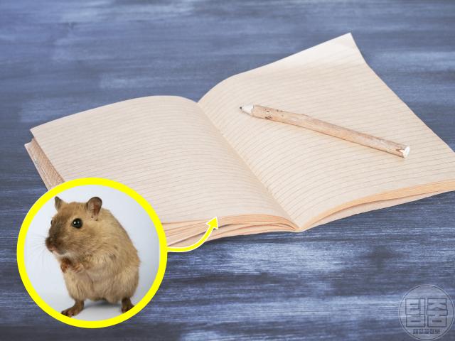 공책 소설가,팁줌