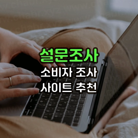노트북을 사용하는 사진 위에 설문조사 소비자 조사 사이트 추천 이라는 글씨가 써있음