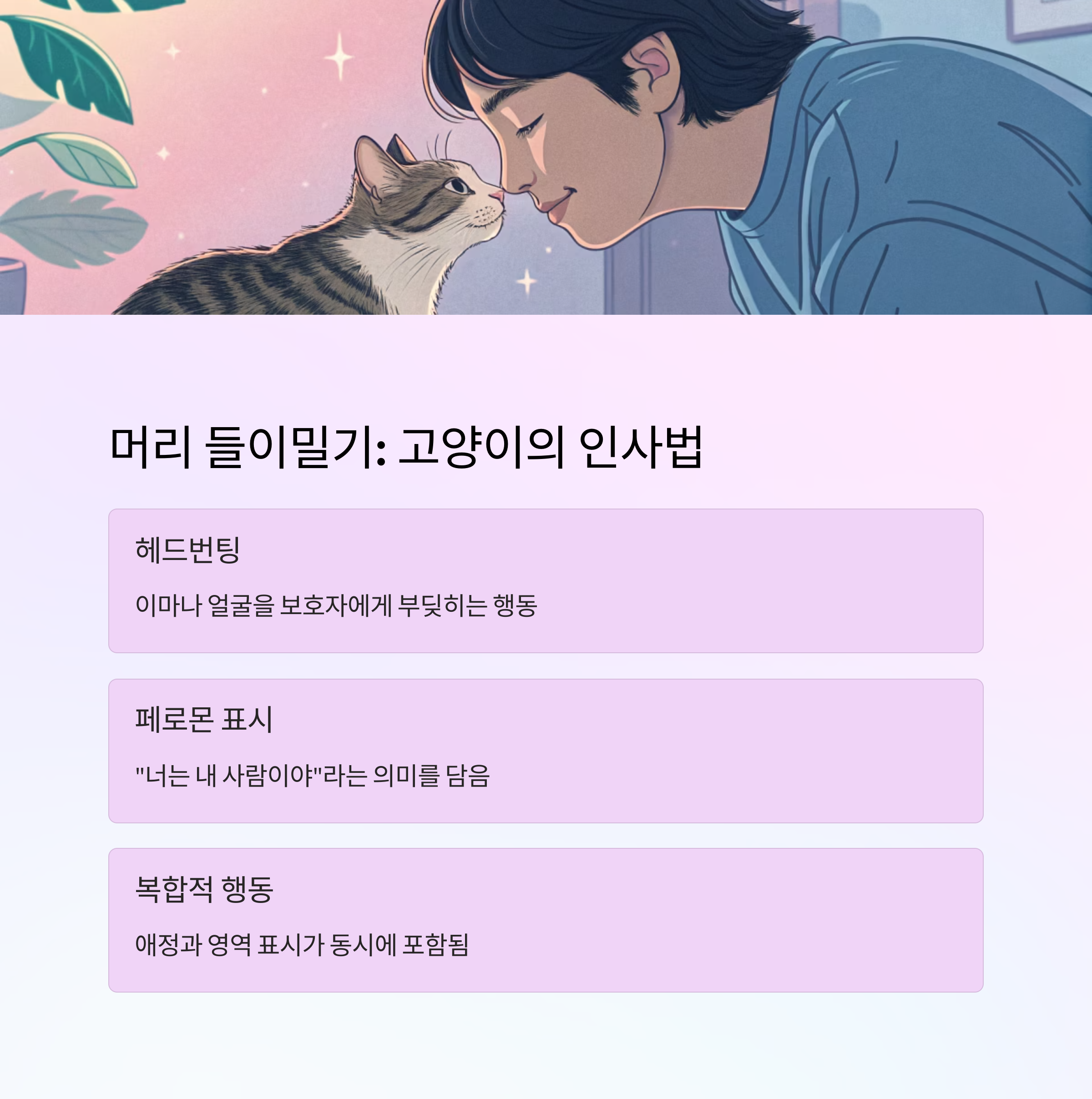 머리 들이밀기