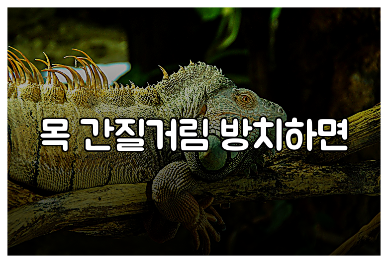 목 간질거림 방치하면