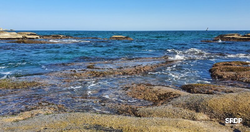 아야진-해변-해수욕장-스위밍터틀-강원도-고성-오션뷰-카페