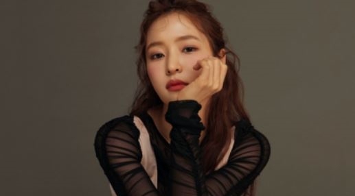 홍자