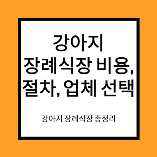 강아지 장례식장