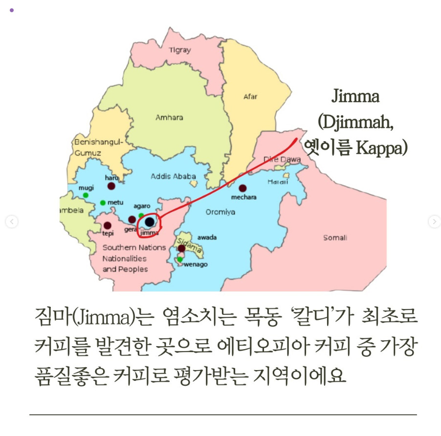 에티오피아 짐마(Jimma) 지역