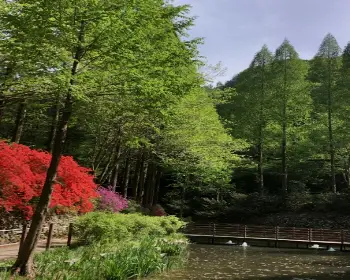 장태산 자연휴양림_5
