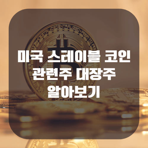 미국 스테이블 코인 관련주 대장주 알아보기