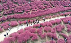 10월 가볼만한곳 베스트 