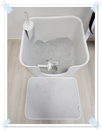 고양이-키우기-현실