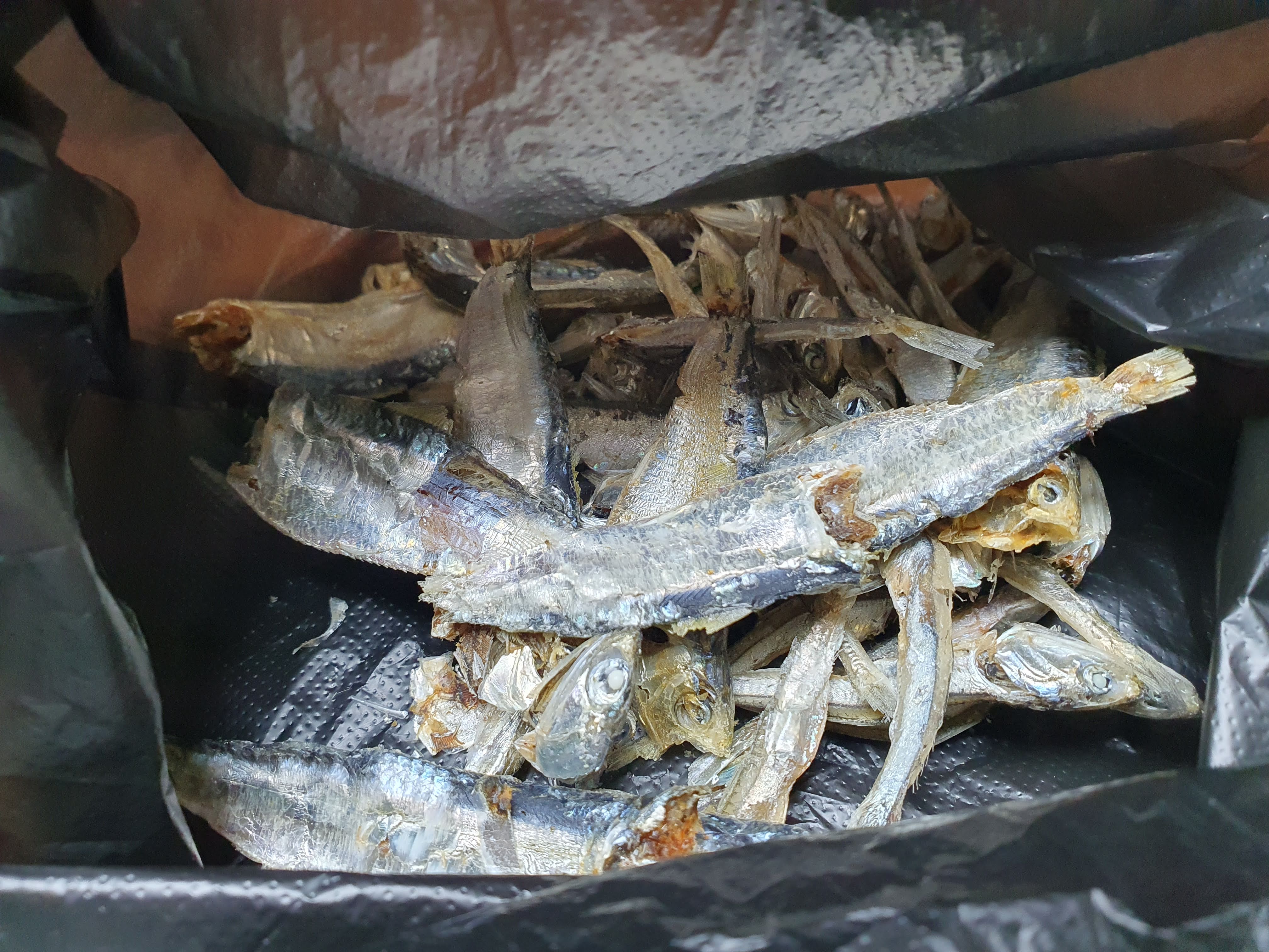 멸치육수