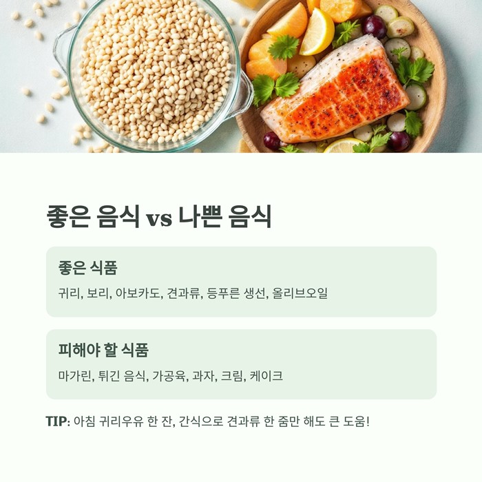콜레스테롤 낮추는 가장 효과적인 방법 7가지 요약 이미지
