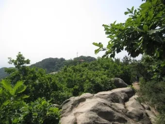 수원 칠보산 등산 코스 추천 용화사 코스로 여유롭게 걷기_8