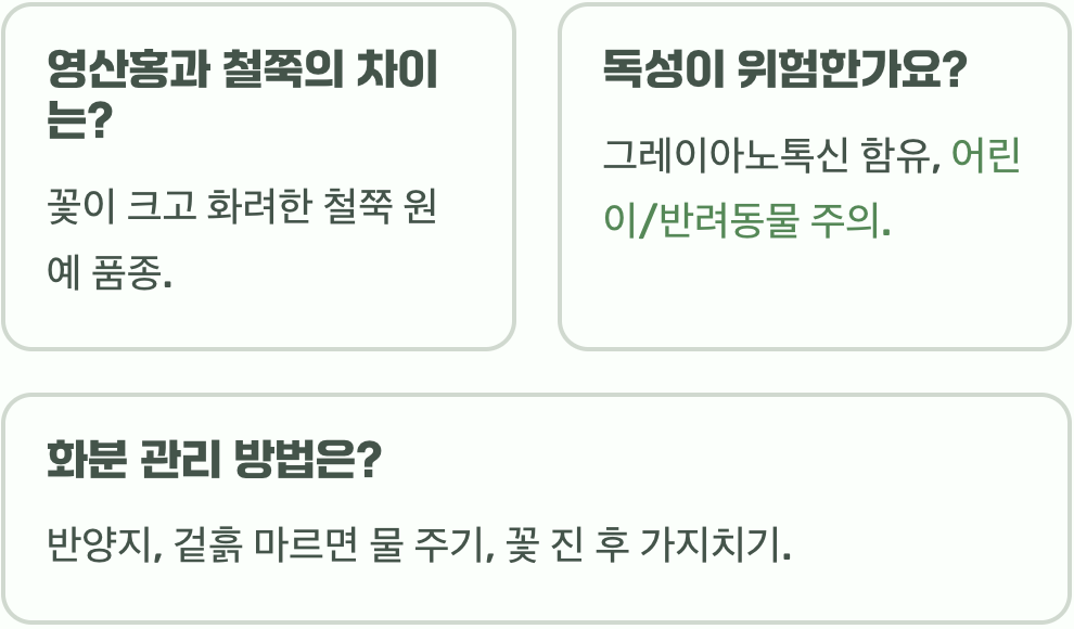 영산홍 꽃말 사랑과 기쁨을 상징하며 봄철 선물용으로 인기가 높은 이유