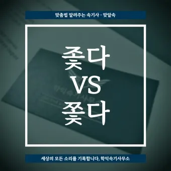 좇다 쫓다 맞춤법 맞는 표현 예문_12