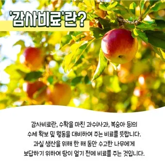 비료 주는 시기 기비 추비 요소 인산 가리 엽면시비_18