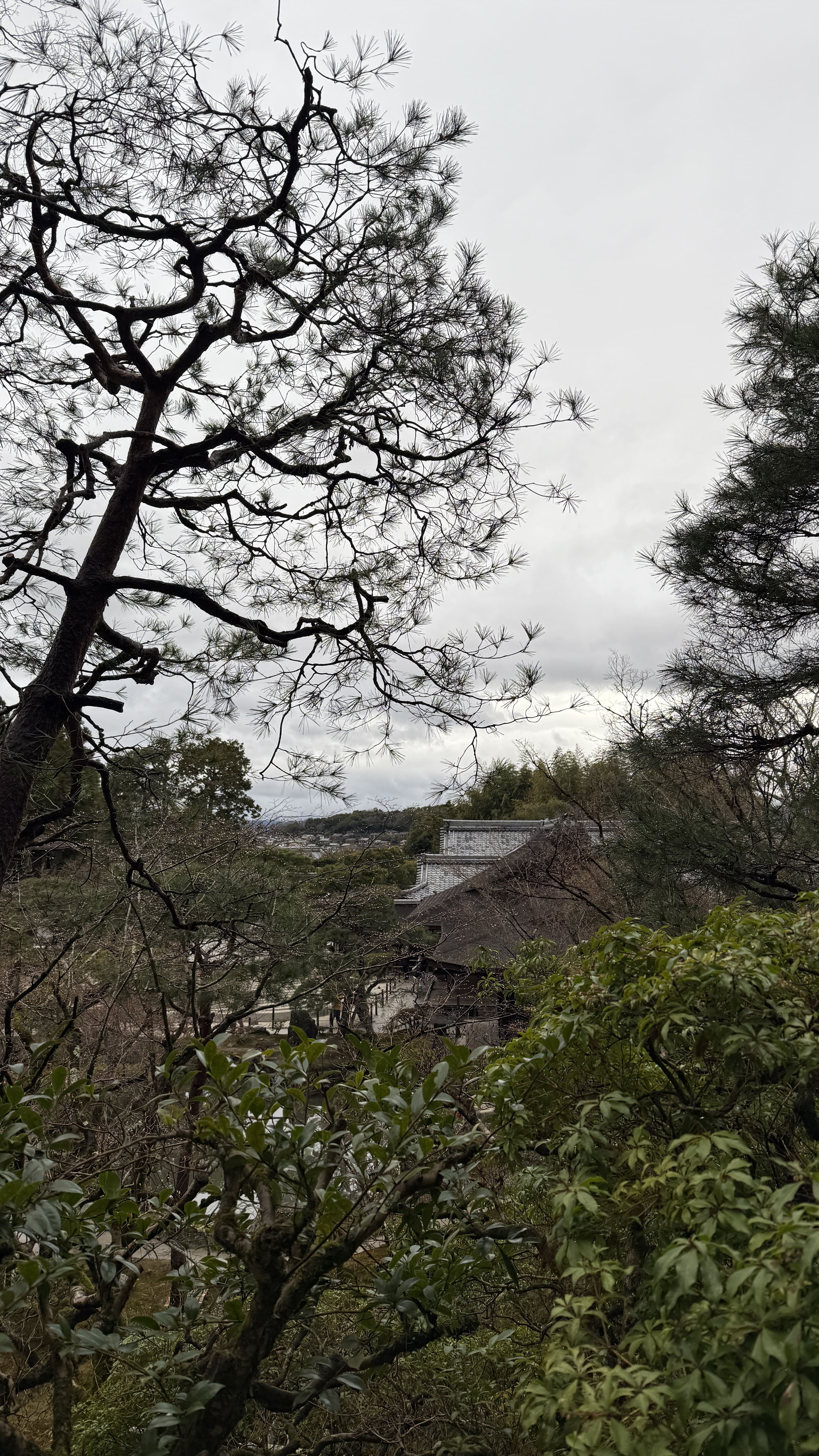 교토-꼭-가봐야-할-곳-교토-은각사-긴카쿠지-조용한-산책-코스-추천