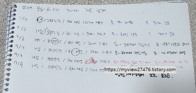 이동장만 꺼내면 숨는다면? 평소 생활공간에서 시작하는 반려묘 이동장 적응법