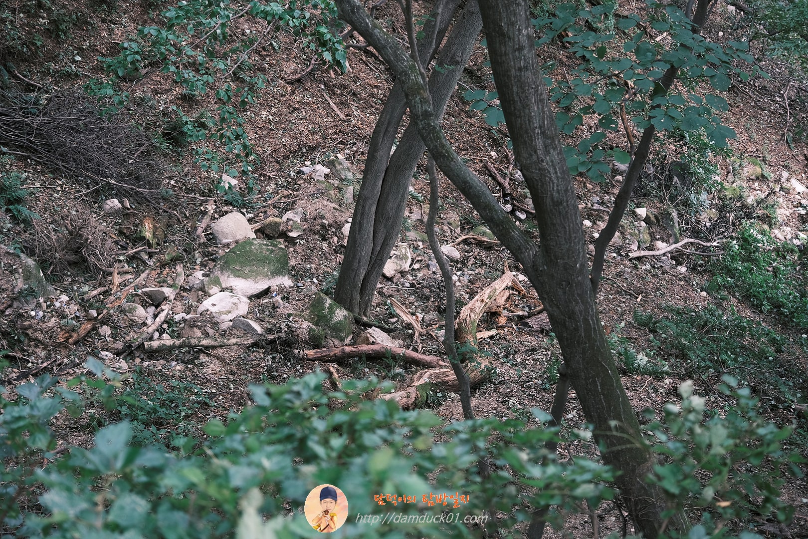 석굴암 가는 길