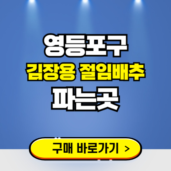 영등포구 절임배추 사전예약 구입하는곳 ❘ 김장배추 파는곳 가격보기