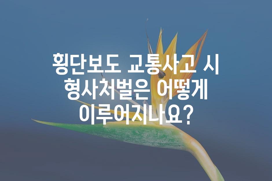 샘플 (45)