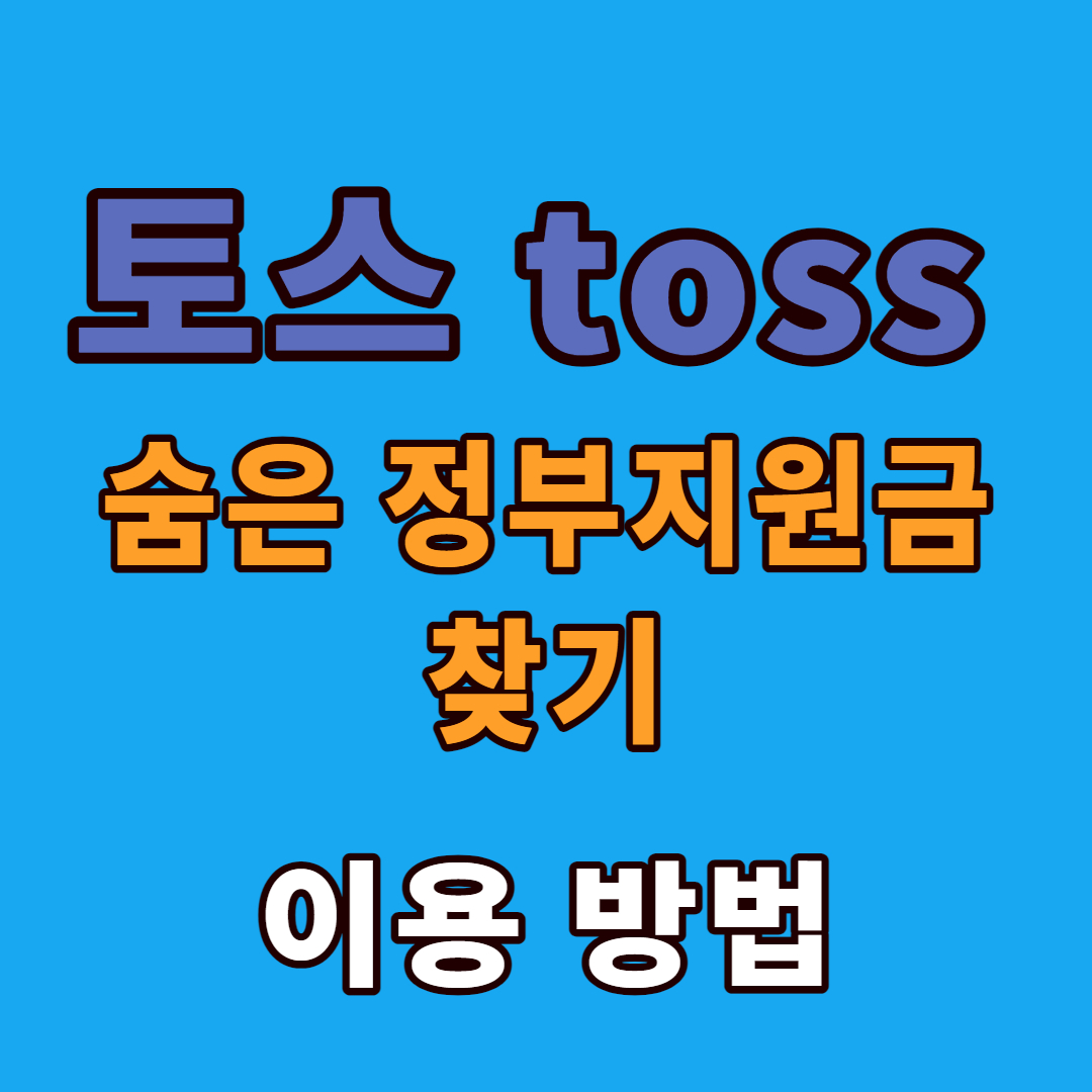 토스 정부지원금