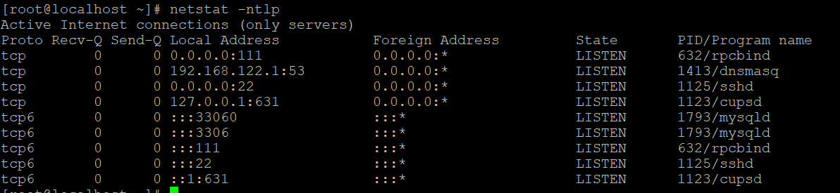 netstat
