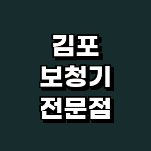 김포시 보청기