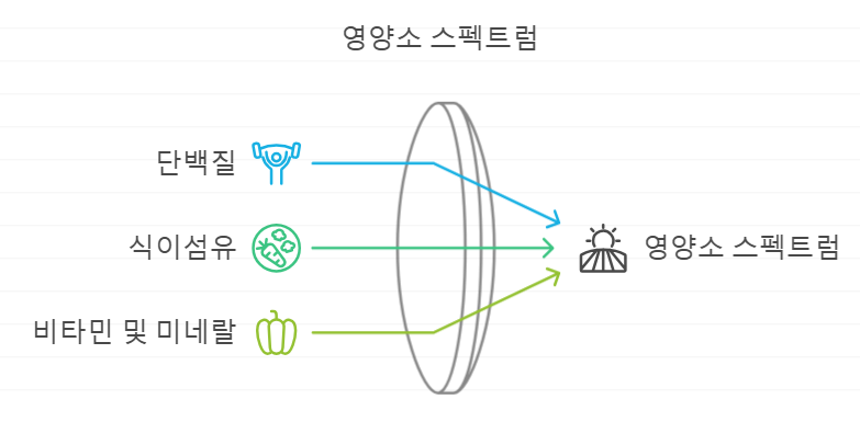 피틴산 영양