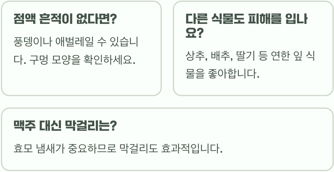 비비추 잎에 구멍이 숭숭, 달팽이 퇴치 완벽 가이드