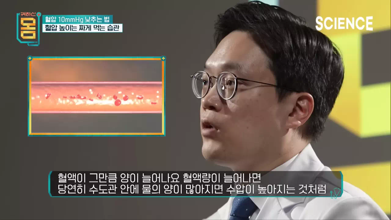 혈압-낮추는-식단-사이언스채널-이찬주박사