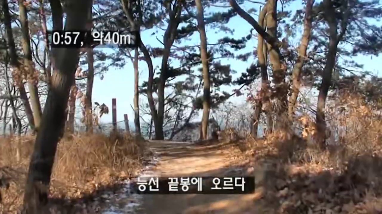 능선 끝봉 부근 소나무 사이로 드러나는 바다